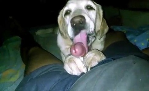   .  :    ?