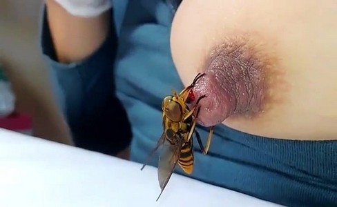   .   