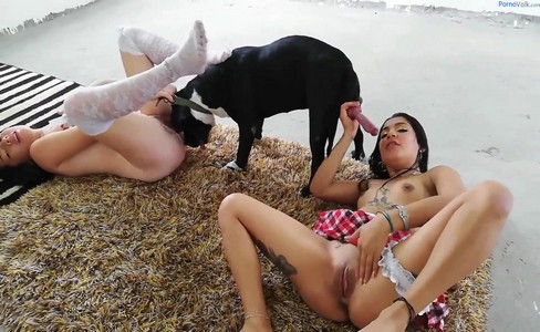   .   ,       